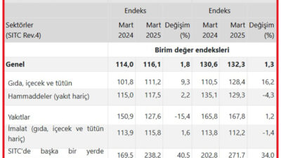 Türkiye İstatistik Kurumu (TÜİK) mart ayına ilişkin dış ticaret endeksleri