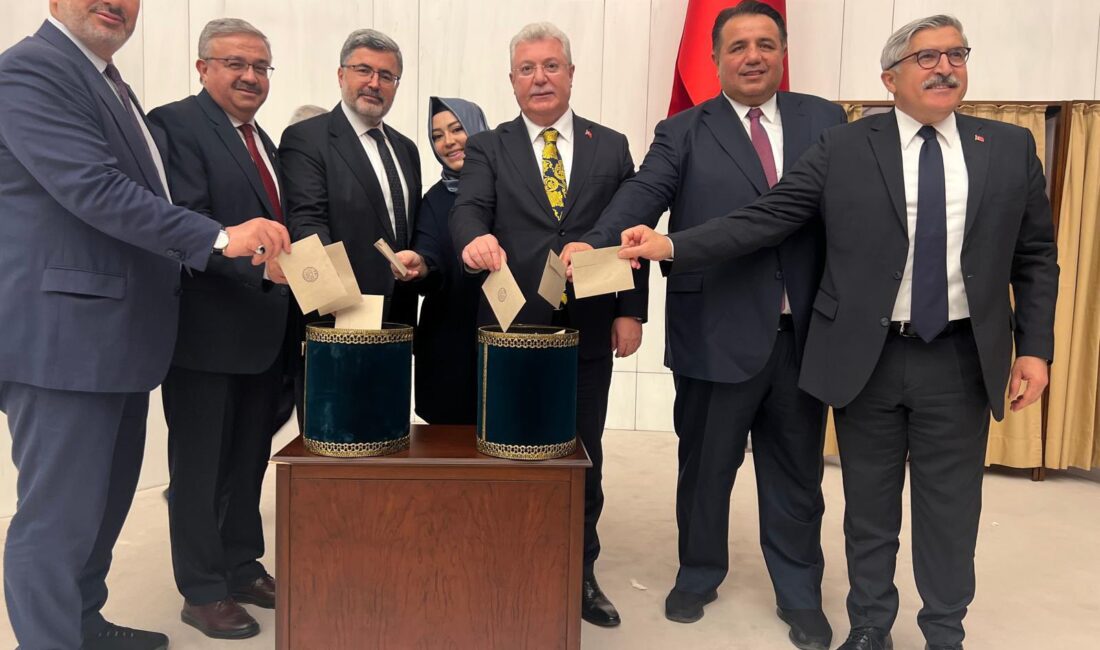 AK Partili vekiller RTÜK üyelerini seçti AK Parti Afyonkarahisar Milletvekilleri Ali Özkaya, İbrahim Yurdunuseven ve Hasan