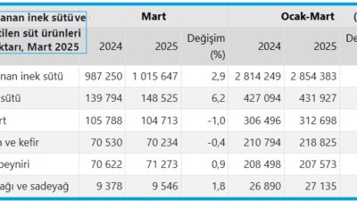 Türkiye İstatistik Kurumu (TÜİK) Süt ve Süt Ürünleri Üretimi İstatistiklerine