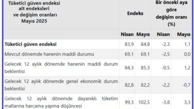 Türkiye İstatistik Kurumu ve Türkiye Cumhuriyet Merkez Bankası işbirliği ile