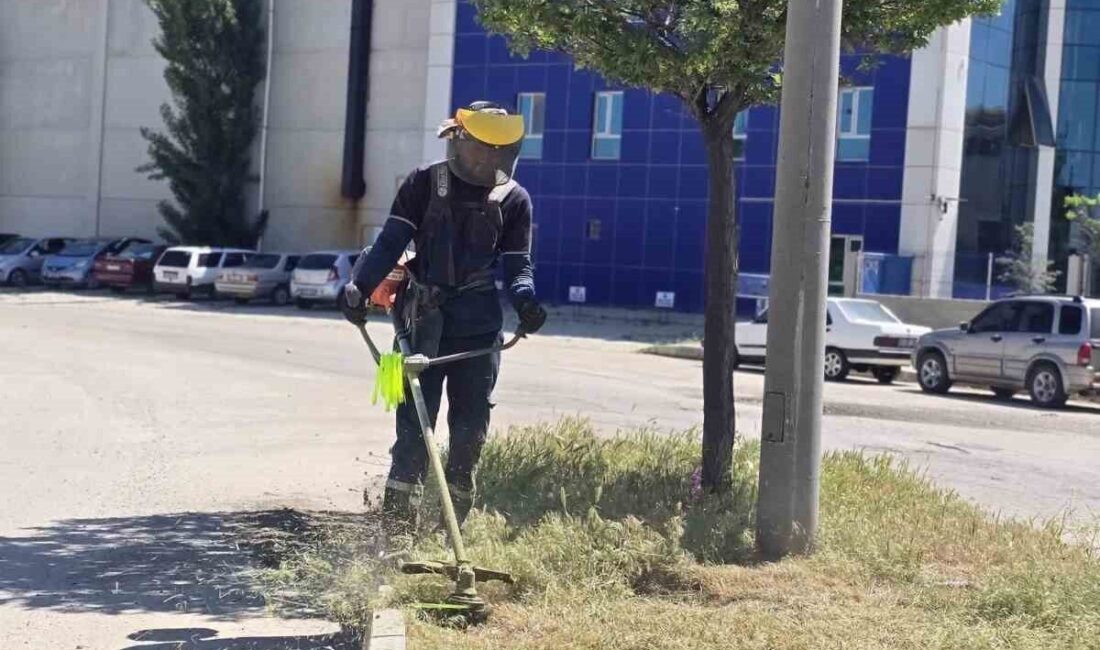 Afyonkarahisar OSB’de yeşil dönüşüm ve altyapı çalışmaları sürüyor Afyonkarahisar Organize Sanayi Bölgesi (OSB) Müdürlüğü yeşil alanların artırılmasına yönelik