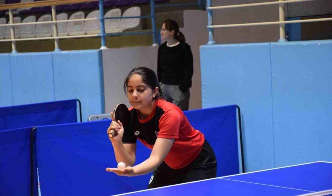 Afyonkarahisar’da Masa Tenisi Büyükler Müsabakaları sona erdi Masa Tenisi Büyükler İl Birinciliği müsabakaları, Çiğiltepe Spor Salonu’nda tamamlanırken