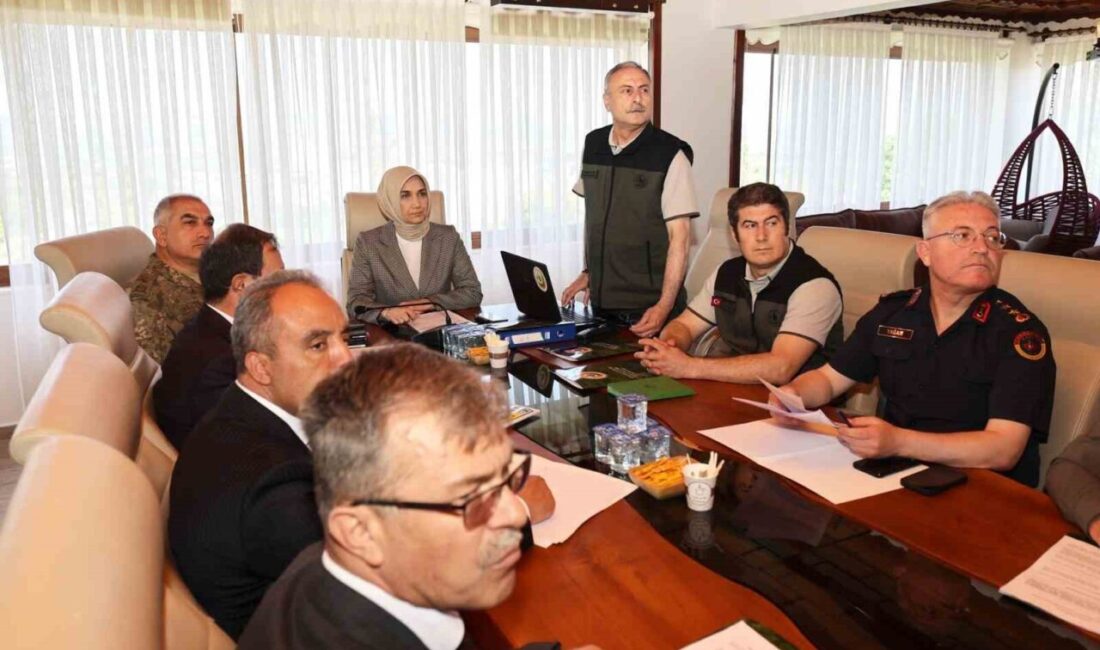 Afyonkarahisar’da orman yangınlarına karşı seferberlik Afyonkarahisar’da orman yangınlarına karşı alınacak önlemler ve yürütülecek çalışmalar, Vali