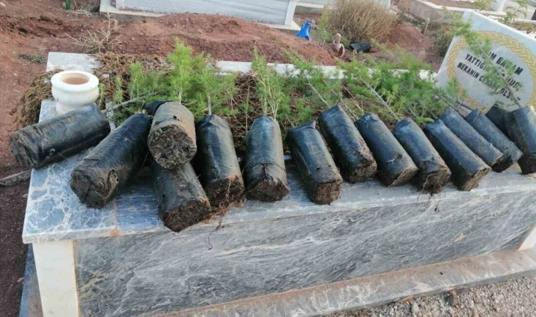 Anneler Günü’nde mezarlıkları yeşillendirdiler Eskişehir’de hayırseverler, Anneler Günü’nde mezarlıklara fidan dikti. İlmek İlmek Bin