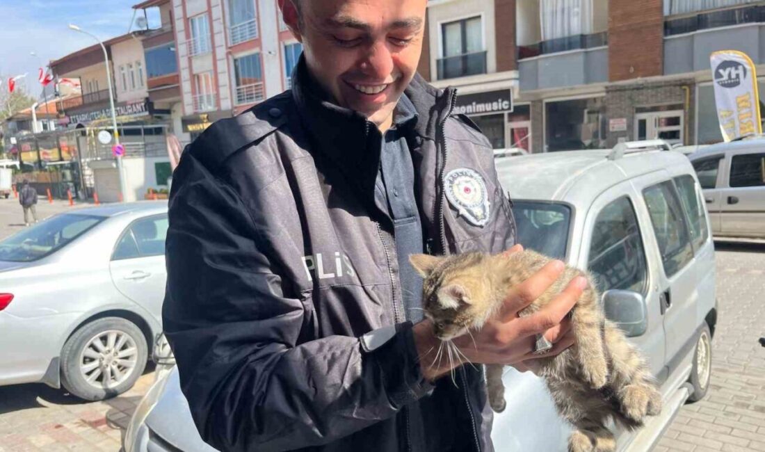 Aracın motoruna giren yavru kediyi polis kurtardı Kütahya’nın Tavşanlı ilçesinde bir aracın motor kısmına giren yavru kedi,