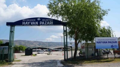 Eskişehir Büyükşehir Belediyesi Hayvan Pazarı, Kurban Bayramı hazırlıkları kapsamında kapılarını