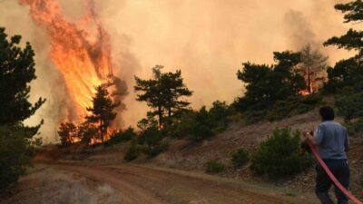 Muhtemel orman yangını riskini en aza indirmek amacıyla Eskişehir ve