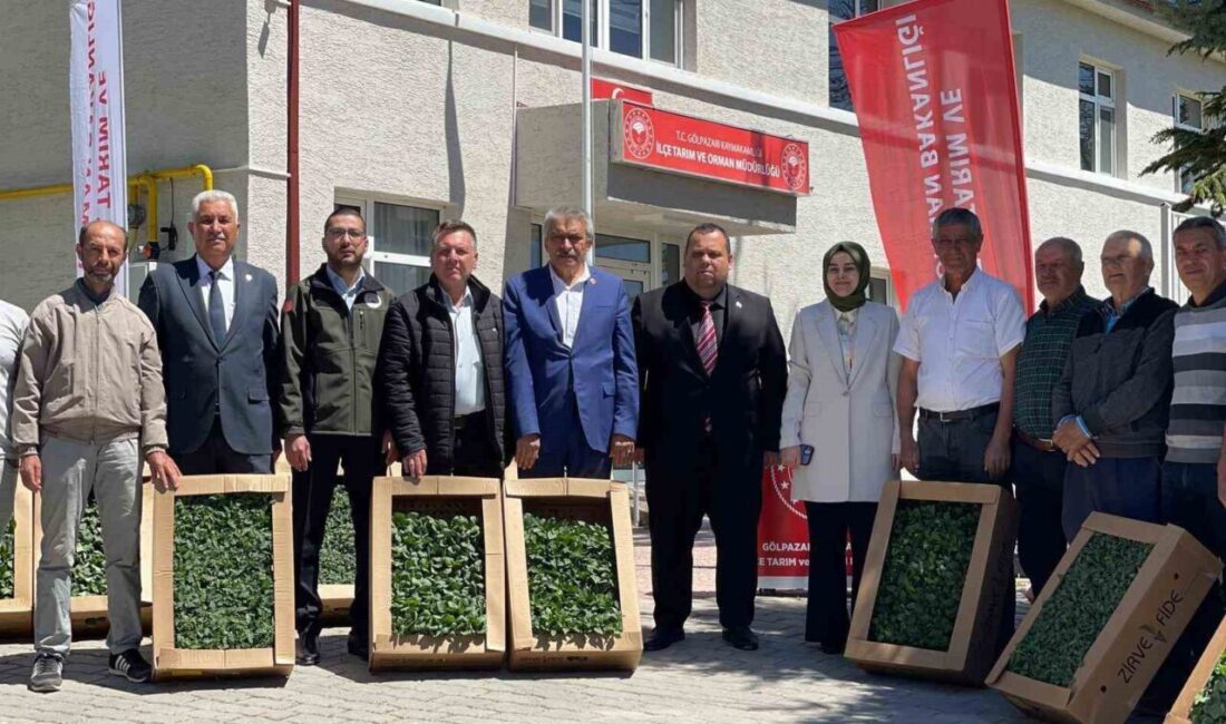 Gölpazarı’nda yerli ve milli fide dağıtım programı gerçekleştirildi Bilecik’in Gölpazarı ilçesinde “Yerli ve Milli Çeşitlerinin Yaygınlaştırılması” projesi ile