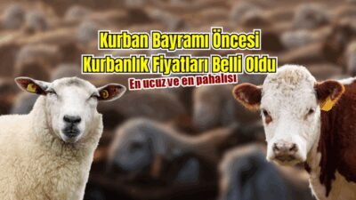 Ziraat odalarının verilerine göre büyükşehirler başta olmak üzere Türkiye genelinde