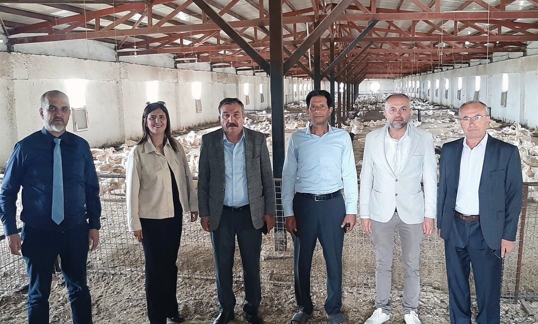 Kütahya’da Pekin ördeği çiftliği Kütahya Ticaret Borsası (KÜTBO) Yönetim Kurulu Başkanı Necati Gültekin, Meclis