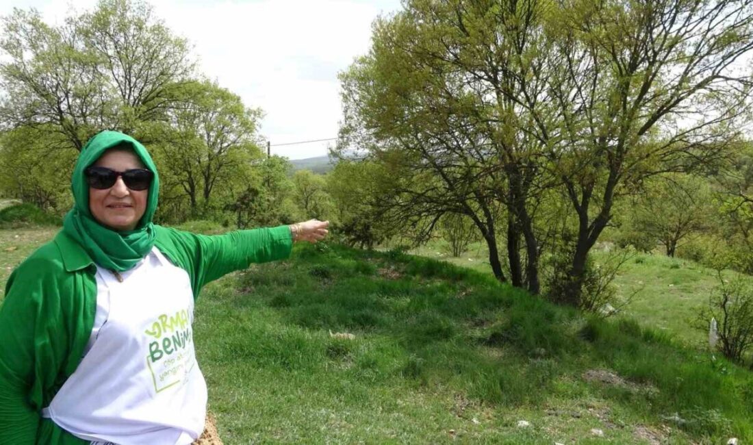 Kütahya’nın Haccazizler Mahallesi doğaseverleri bekliyor Kütahya’nın doğa harikası mahallelerinden biri olan Haccazizler Mahallesi, sahip olduğu