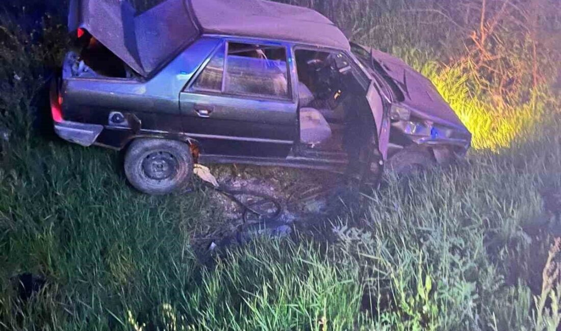 Polis memuru trafik kazasında hayatını kaybetti Afyonkarahisar’da kontrolden çıkarak şarampol’e düşen otomobilde 34 yaşındaki polis memuru