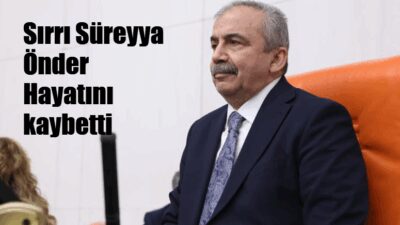TBMM Başkanvekili ve DEM Parti İstanbul Milletvekili Sırrı Süreyya Önder