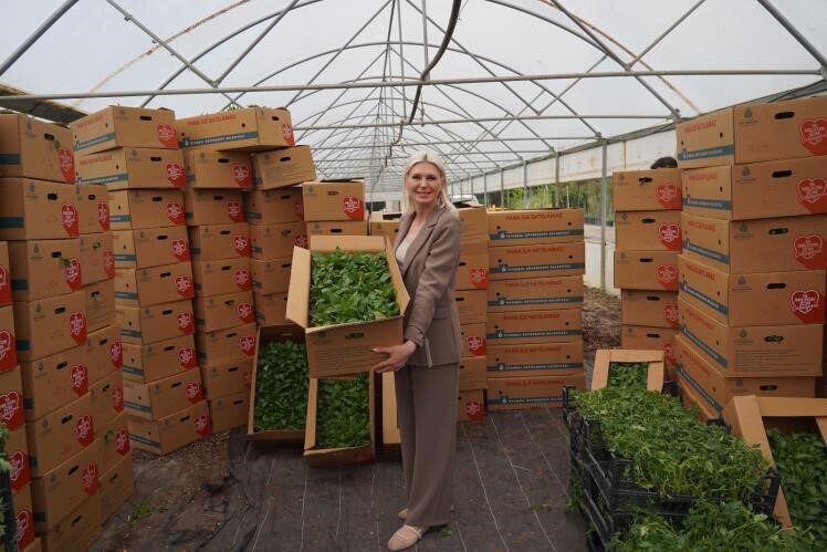 Son üç yılda 1 milyon 700 bin fide dağıtıldı Bilecik Belediyesi, yerel üreticilere destek amacıyla sürdürdüğü fide dağıtımını bu