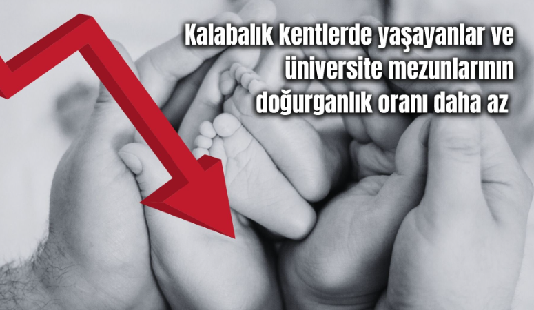 Türkiye İstatistik Kurumu (TÜİK), 2024 yılına ait doğum istatistiklerini yayımladı.