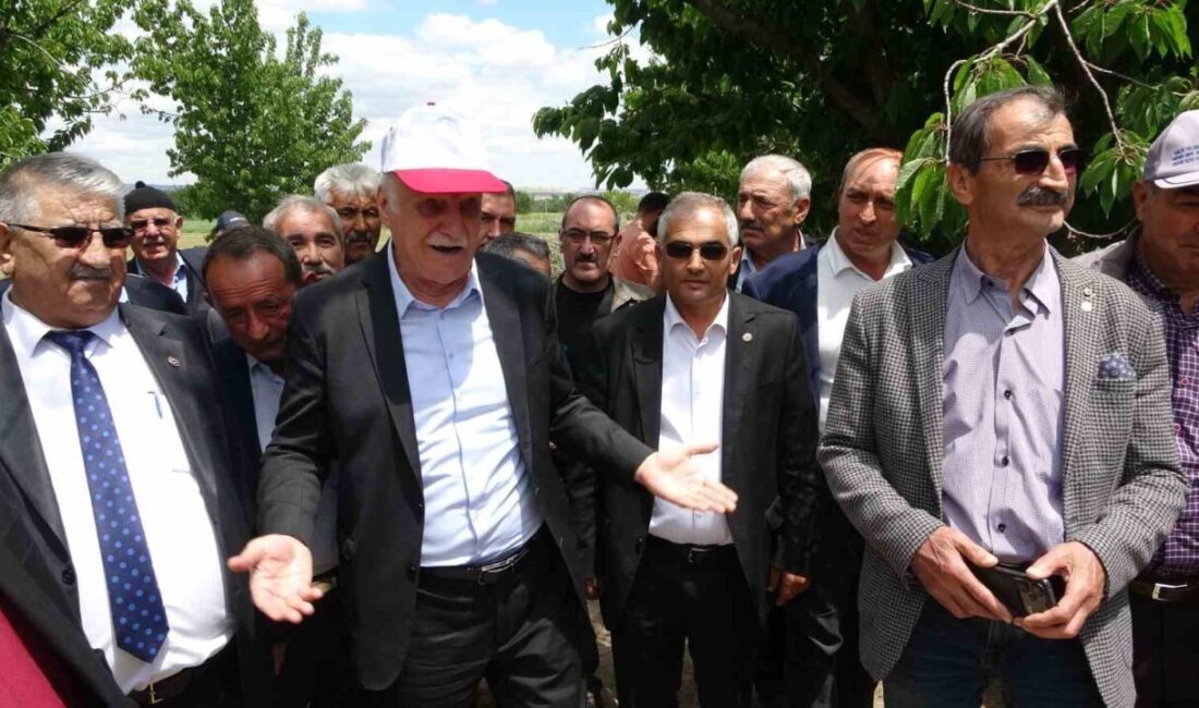 TZOB Başkanı Bayraktar: “Çiftçimiz afetlerle, yüksek maliyetlerle ve yapısal sorunlarla mücadele ediyor” Türkiye Ziraat Odaları Birliği (TZOB) Genel Başkanı Şemsi Bayraktar, tarım