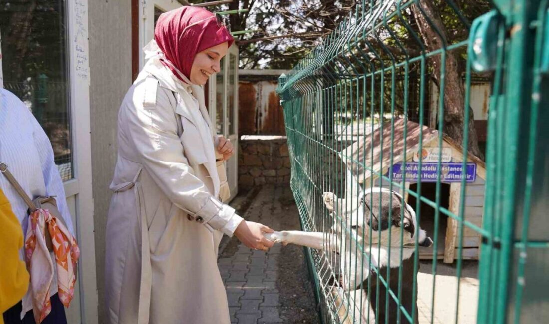 Üniversite öğrencilerinden Doğal Yaşam Merkezi’ne ziyaret Eskişehir Tepebaşı Belediyesi Doğal Yaşam Merkezi’ni ziyaret eden Mehmet Akif