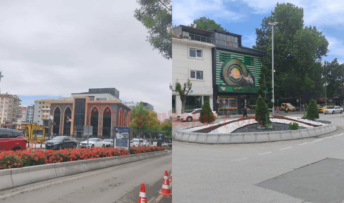 Afyonkarahisar yazın gelmesiyle rengarenk oldu! Afyonkarahisar Belediyesi tarafından kent estetiğini artırmaya yönelik olarak orta refüj,