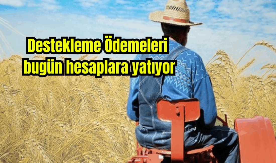 Çiftçilere yönelik Destekleme Ödemeleri bugün hesaplara yatıyor Tarım ve Orman Bakanı İbrahim Yumaklı 3 milyar 91 milyon