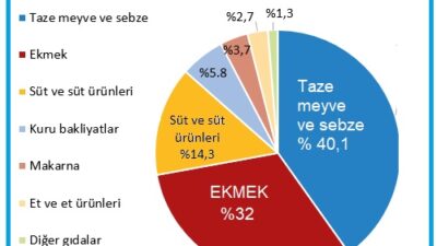 TÜİK’in yayımladığı ‘hane halkı tüketim harcaması’ istatistiklerine göre, geçen yıl