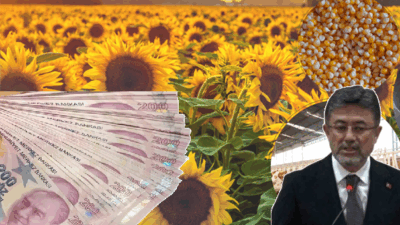 Tarım ve Orman Bakanı İbrahim Yumaklı, 8 milyar 153 milyon