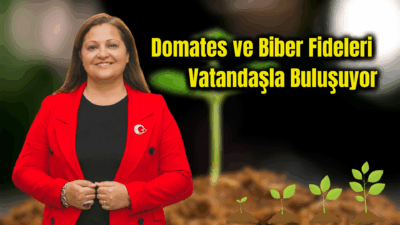 Afyonkarahisar Belediyesi tarafından domates ve biber fidelerinin dağıtımı 12 Haziran