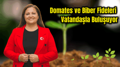 Afyonkarahisar Belediyesi tarafından domates ve biber fidelerinin dağıtımı 12 Haziran