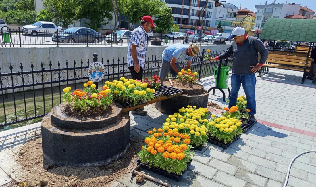 Dinar ilçesinde estetik görünümü artırmak ve yaşam alanlarını güzelleştirmek amacıyla