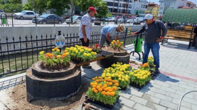 Dinar ilçesinde estetik görünümü artırmak ve yaşam alanlarını güzelleştirmek amacıyla