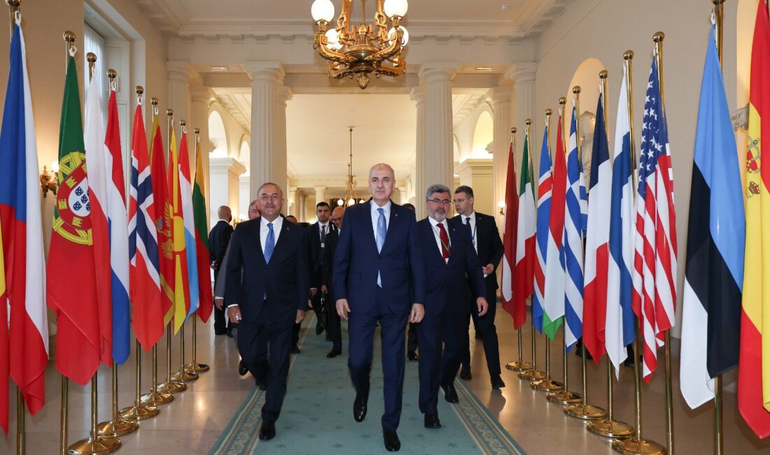 AK Parti Afyonkarahisar Milletvekili Ali Özkaya, Belçika’nın başkenti Brüksel’de düzenlenen
