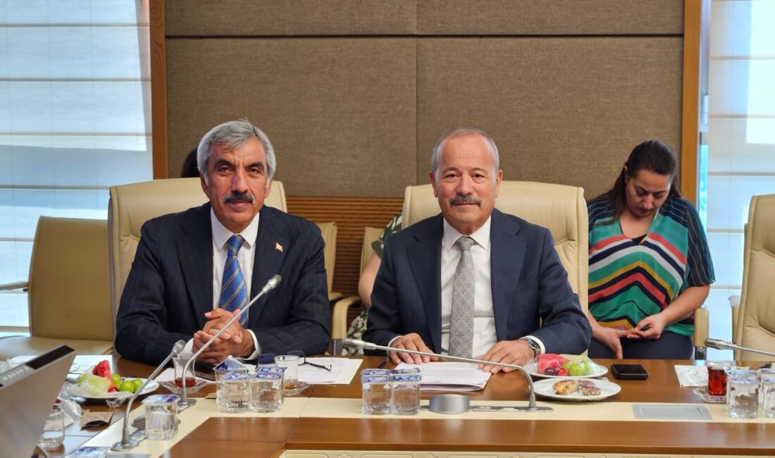 Afyonkarahisar Milliyetçi Harekat Partisi (MHP) Milletvekili Taytak, Dilekçe Komisyonu ile