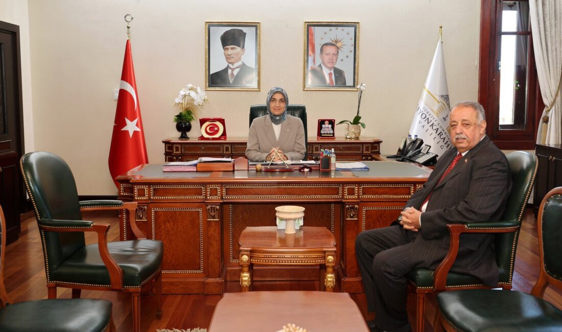Afyonkarahisar Valisi Doç. Dr. Kübra Güran Yiğitbaşı, Afyonkarahisar Vali Yardımcılığı