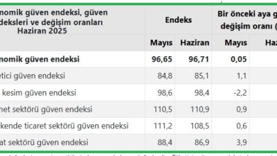 Türkiye İstatistik Kurumu (TÜİK), haziran ayı Ekonomik Güven Endeksi verilerini