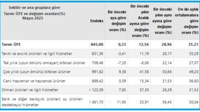 Türkiye İstatistik Kurumu (TÜİK) Mayıs 2025 verilerine göre, Tarım Ürünleri