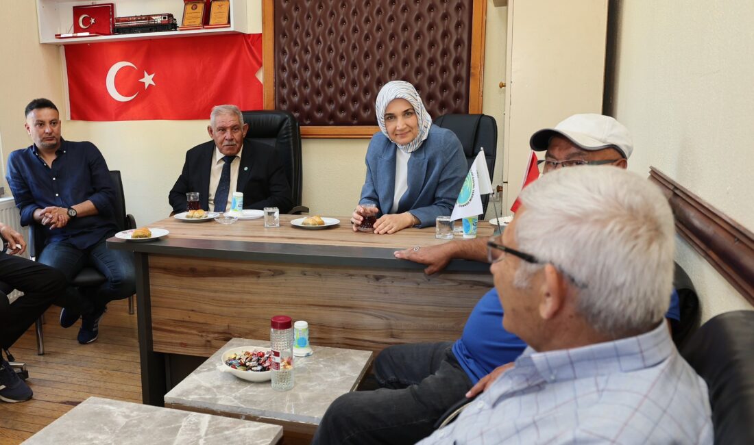 Afyonkarahisar Valisi Doç. Dr. Kübra Güran Yiğitbaşı, Türkiye Cumhuriyeti Devlet