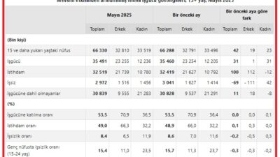 Türkiye İstatistik Kurumu (TÜİK) Hanehalkı İşgücü Araştırması sonuçlarına göre, mevsim