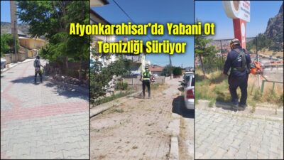 Afyonkarahisar Belediyesi Park ve Bahçeler Müdürlüğü ekipleri, kent genelinde yabani