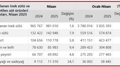 Türkiye İstatistik Kurumu'nun (TÜİK) Süt ve Süt Ürünleri Üretimi verilerine