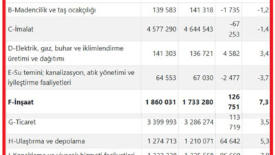 Türkiye İstatistik Kurumu (TÜİK) ücretli çalışan istatistikleri Nisan 2025 verilerini