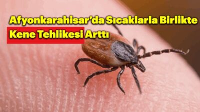 Afyonkarahisar'da yaz sıcaklarının etkisini göstermesiyle birlikte vatandaşlar hafta sonlarını değerlendirmek