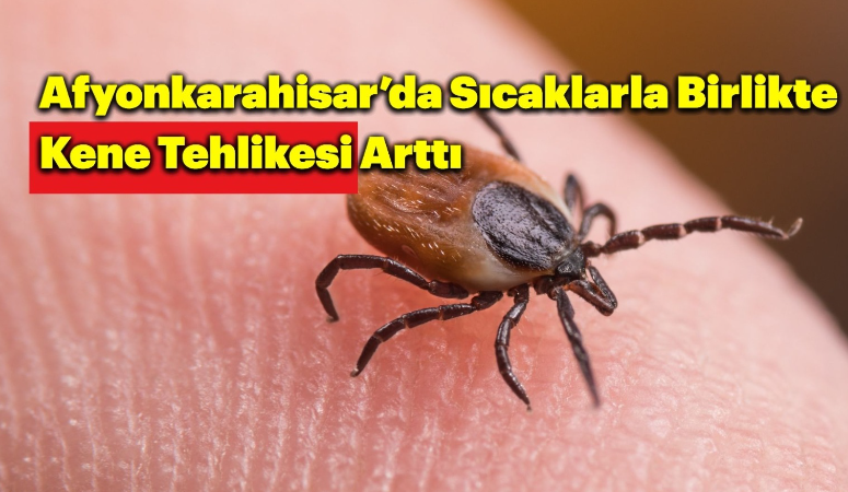 Afyonkarahisar'da yaz sıcaklarının etkisini göstermesiyle birlikte vatandaşlar hafta sonlarını değerlendirmek