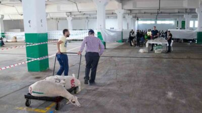 Tepebaşı Belediyesi’nin özenle hazırladığı kurban kesim alanında, Eskişehirli vatandaşlar kurban