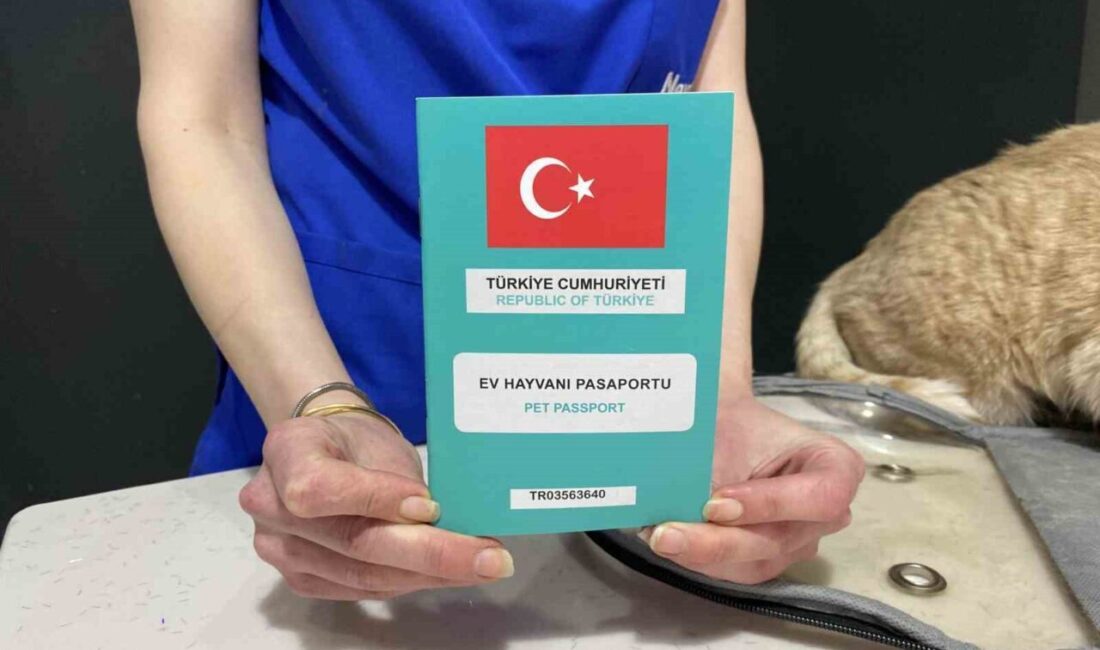 Eskişehir’de veterinerlik yapan Uzm. Veteriner Hekim Tuğçe Kara, bayram tatilinde
