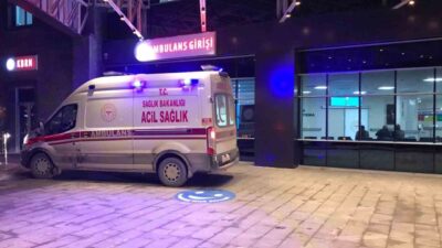 Bilecik’te 4 günlük Kurban Bayramı boyunca 186 kişi kesi ve