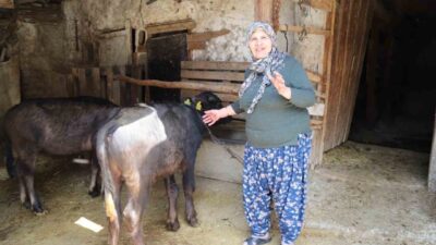 Büyükşehir Belediye Başkanı Ayşe Ünlüce, kırsal kalkınmayı destekleyen çalışmaların artarak