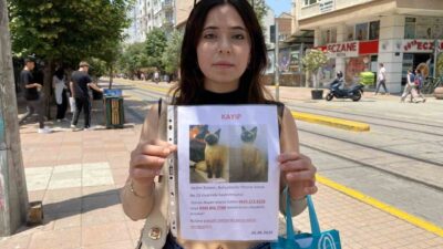 Eskişehir’de arefe gününde siyam cinsi kedisi kaybolan Burcu Dincay, herkes