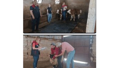 Kırsal Kalkınma Ajansları desteklerinden yararlanan Afyonlu çiftçilerin geliştirdikleri projeleri incelendi.