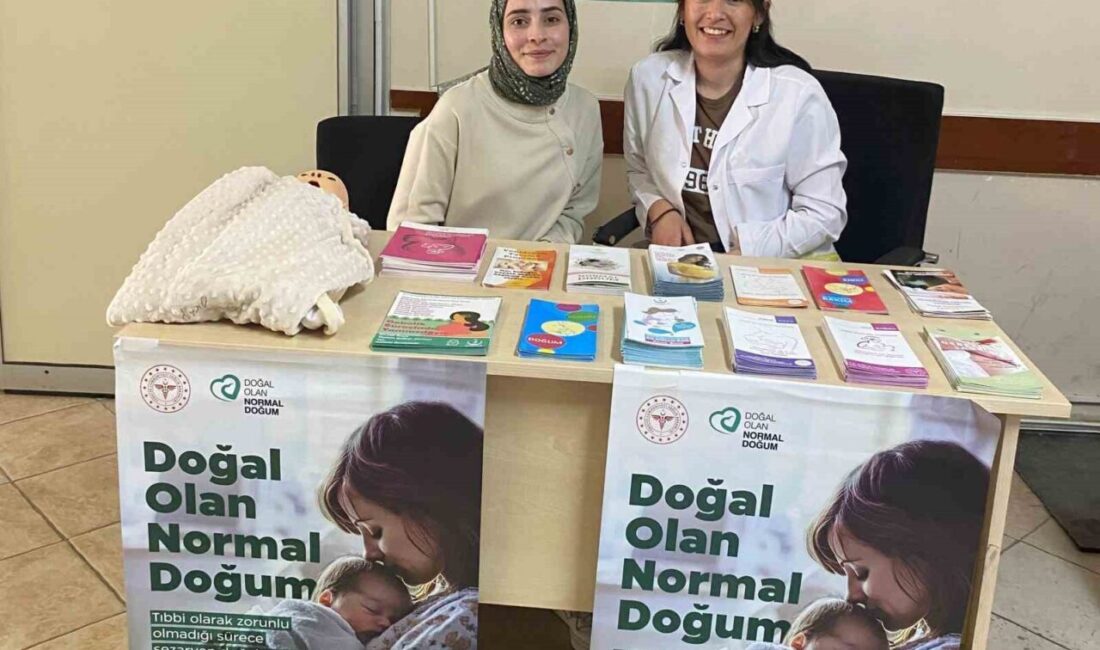 Hisarcık İlçe Devlet Hastanesi’nde “Doğal Olan Normal Doğum” standı Hisarcık İlçe Devlet Hastanesi’nde anne ve bebek sağlığını korumak, doğum