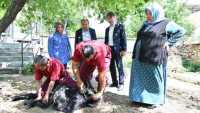 Isparta Belediyesi, 45 mahalle muhtarlığıyla belirlenen ve kurbanlıklarını alan ancak
