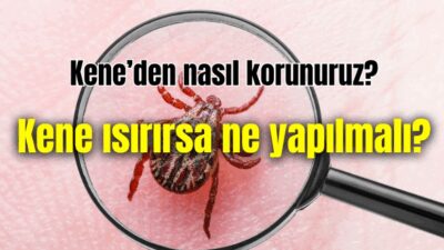 Havaların ısınmasıyla birlikte Kırım-Kongo Kanamalı Ateşi (KKKA) vakaları yeniden görülmeye